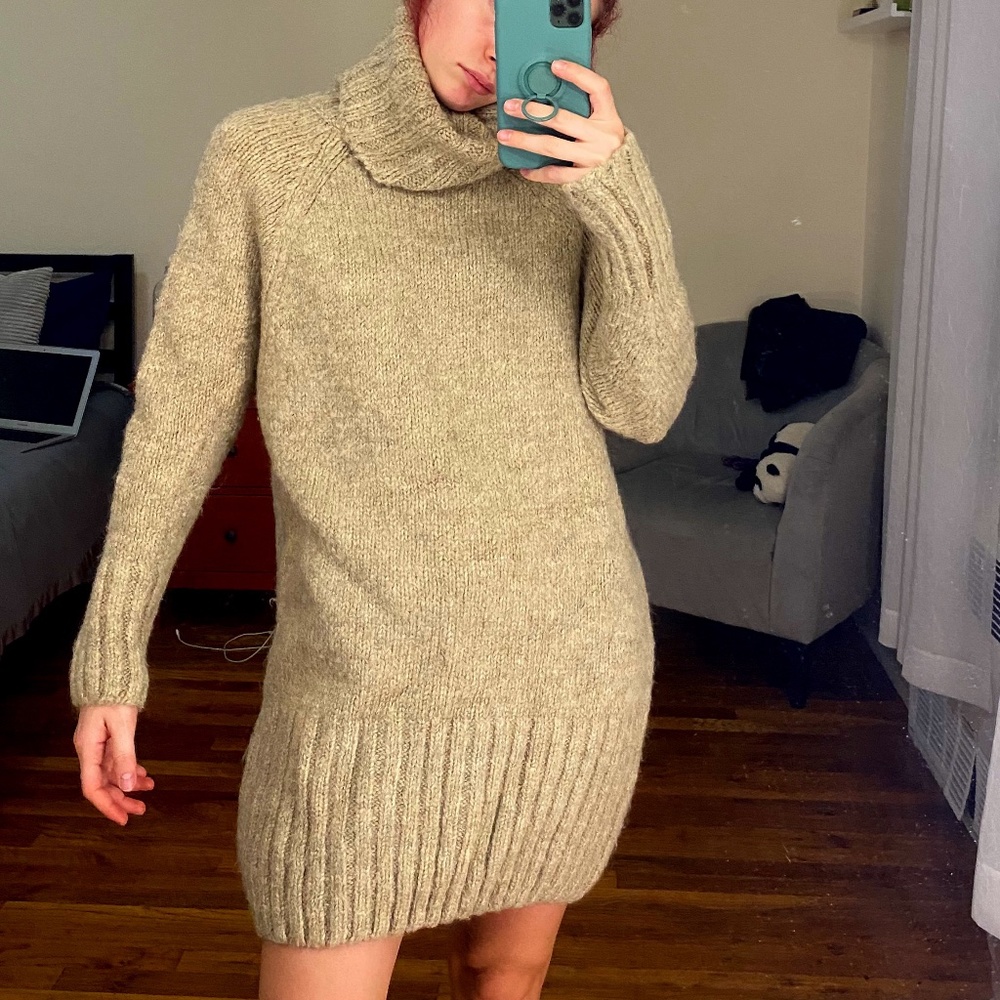 Zara Knit Winter dress